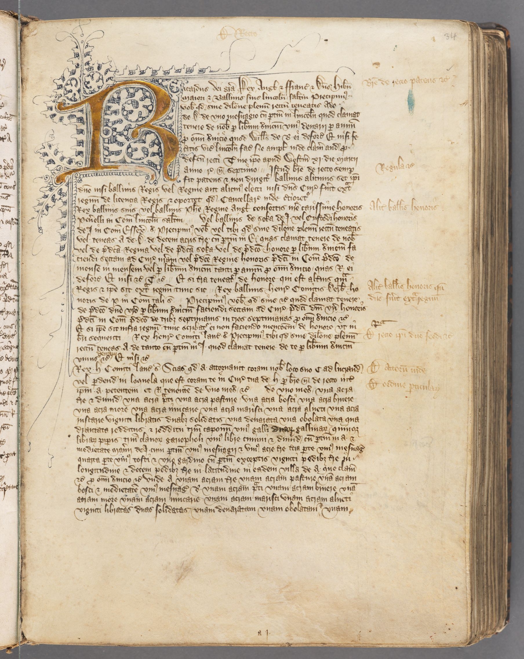 Page from HLS MS 155.